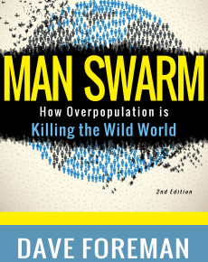 Man Swarm