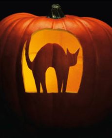 trick-or-treaters